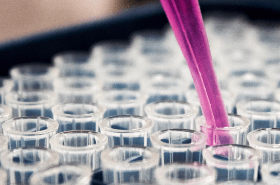 recherche, louis reed, unsplash